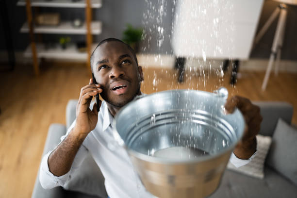 Best Water damage cleanup near me  in Chesapeake, OH