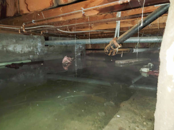 Best 24-hour water damage restoration  in Chesapeake, OH