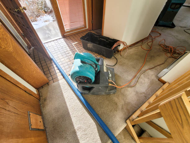 Best Ceiling water damage repair  in Chesapeake, OH