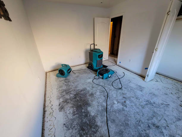 Best Ceiling water damage repair  in Chesapeake, OH