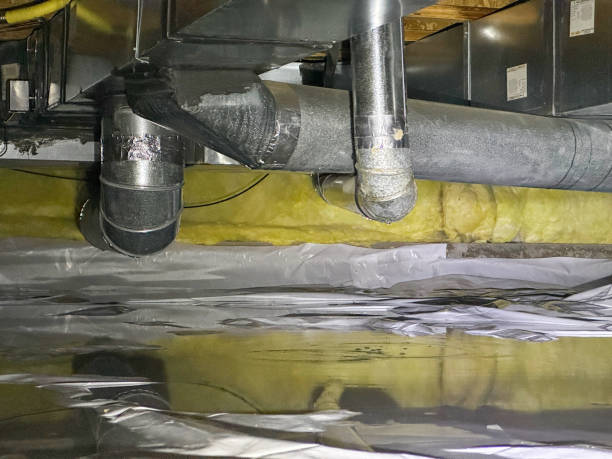 Best Basement water damage restoration  in Chesapeake, OH